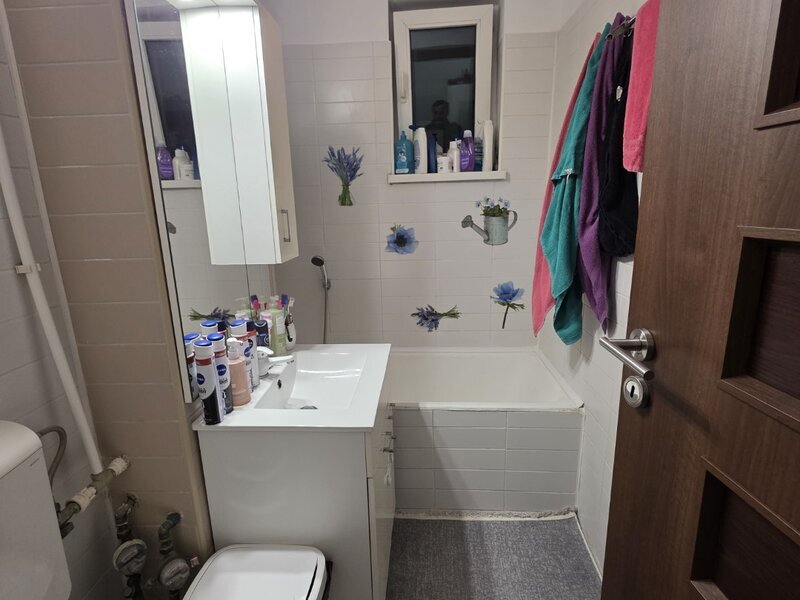 Liviu Rebreanu- Park Lake