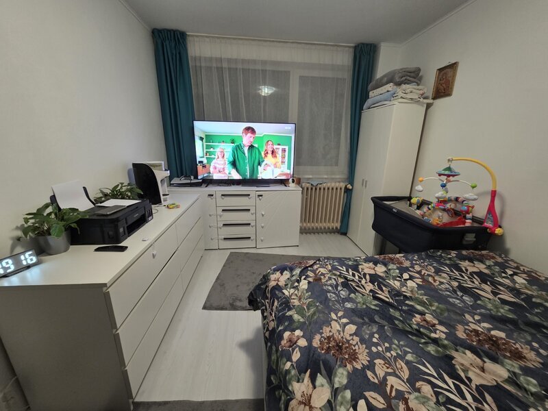 Liviu Rebreanu- Park Lake