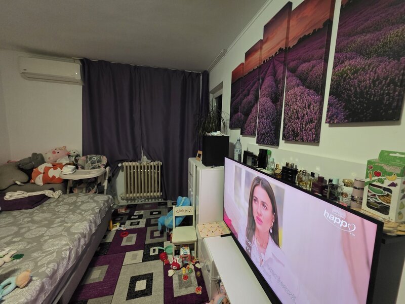 Liviu Rebreanu- Park Lake