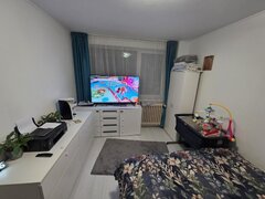 Liviu Rebreanu- Park Lake